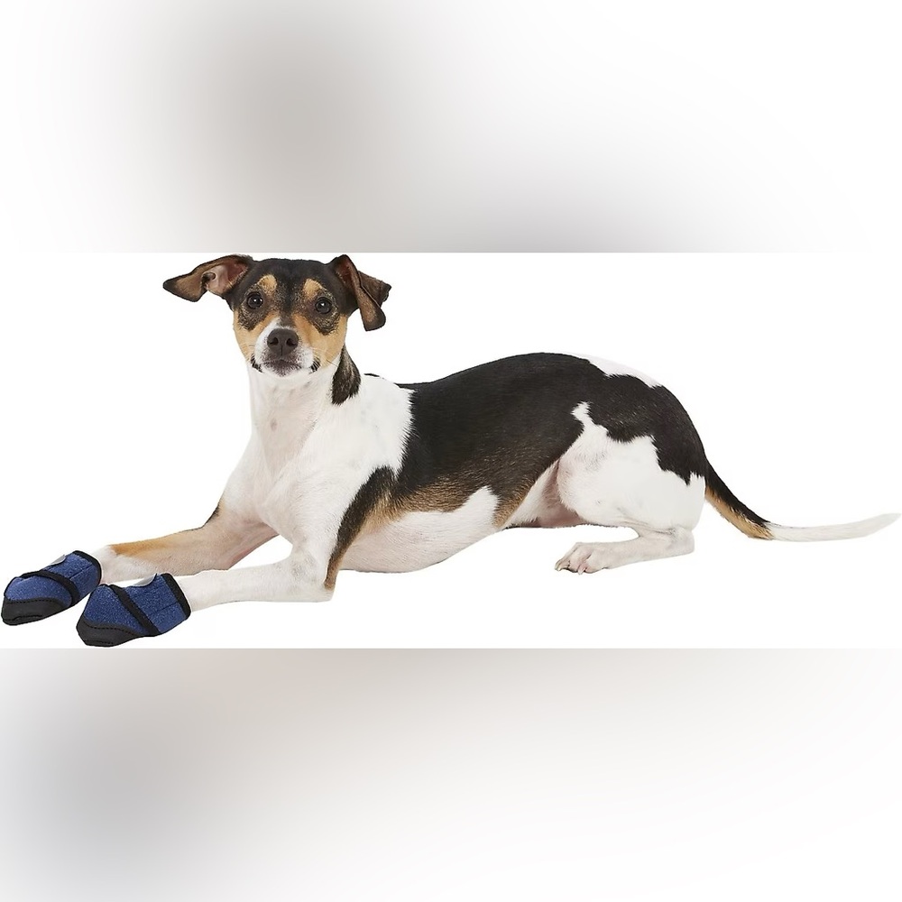 🐾Healers Booties & Gauze Inserts for Dogs🐾 ~Medium NWT 🆕